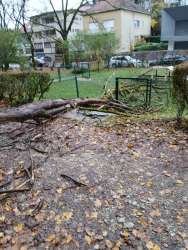 Photo of this report